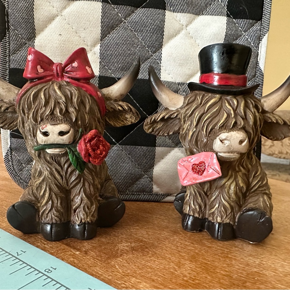 Valent Highland Cows